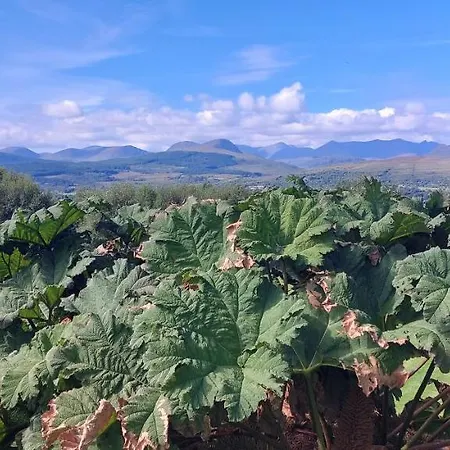 Πανσιόν Misty Bay - Kenmare