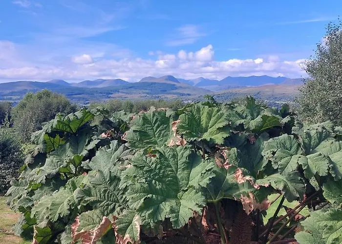 게스트하우스 Misty Bay - 켄마어